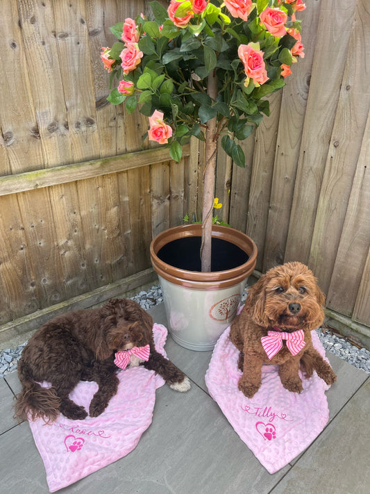 Embroidered Personalised Pet Blankets
