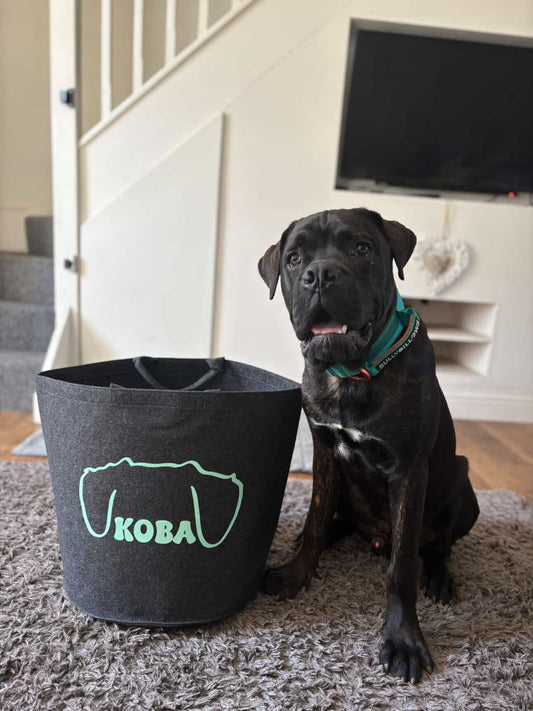 Personalised Pet Toy Bag