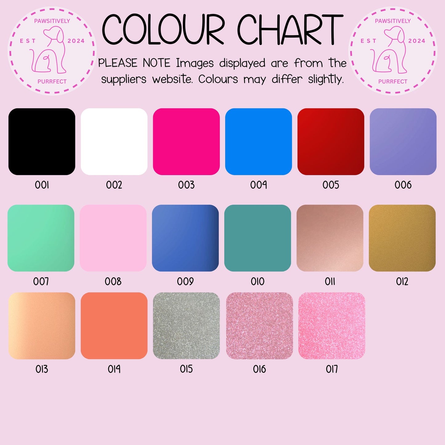 Womens Personalised Pet T Shirt For Humans