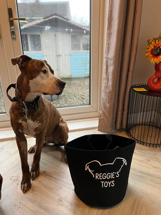 Personalised Pet Toy Bag