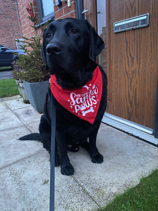 Christmas Pet Bandana | One Size | Choose Design