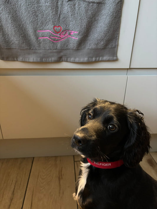 Human hand and paw print embroidered pet towel