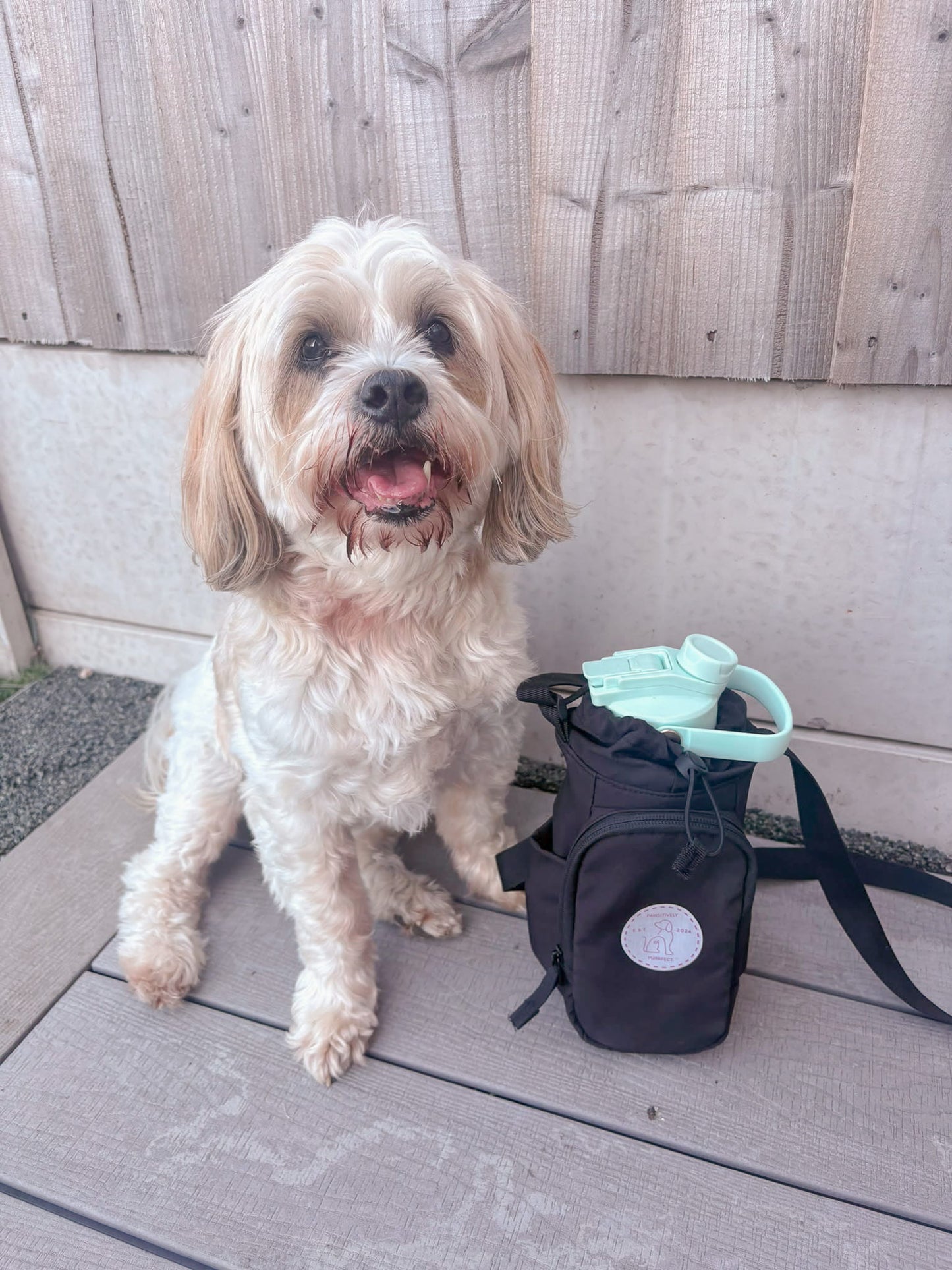 HydraPaws dog water bottle and personalised bag for adventures