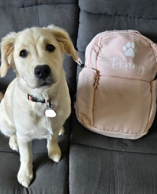 Personalised pet backpack showing custom name and paw print design