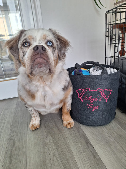 Personalised pet toy bag with dog toys and custom pet name