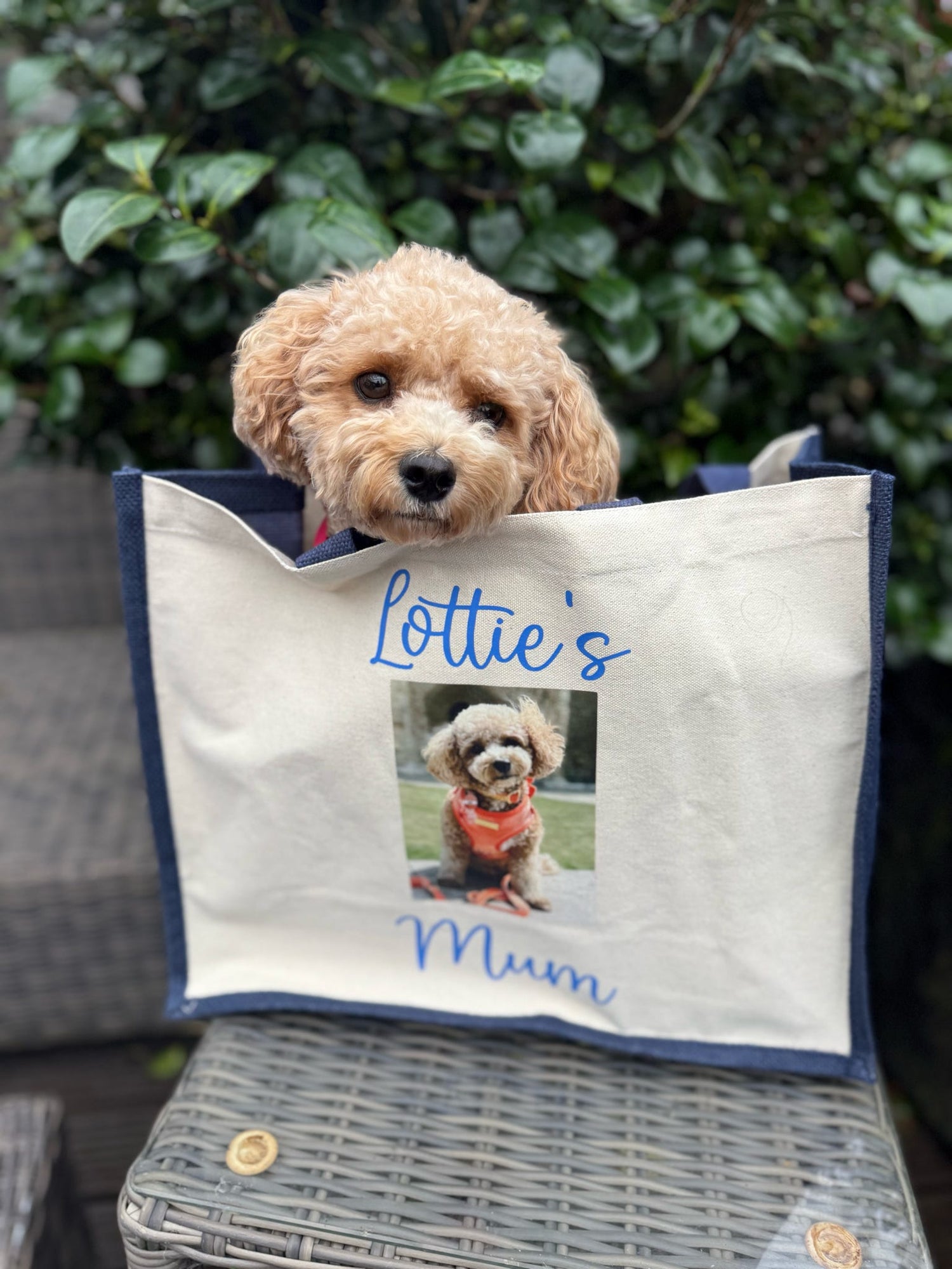 Personalised Tote Bags | Pet & Custom Designs