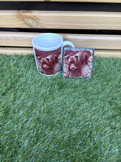 Pet Design Mug 11oz & Coaster | Pet Gifts For Humans | PERSONALISED