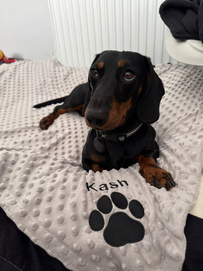 Dog 'Kash' on a grey blanket with a paw print