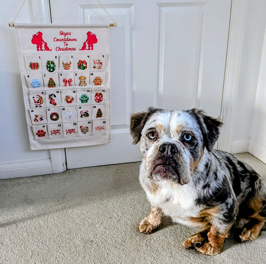 Personalised Advent Calendar for Kids & Pets | Christmas Countdown