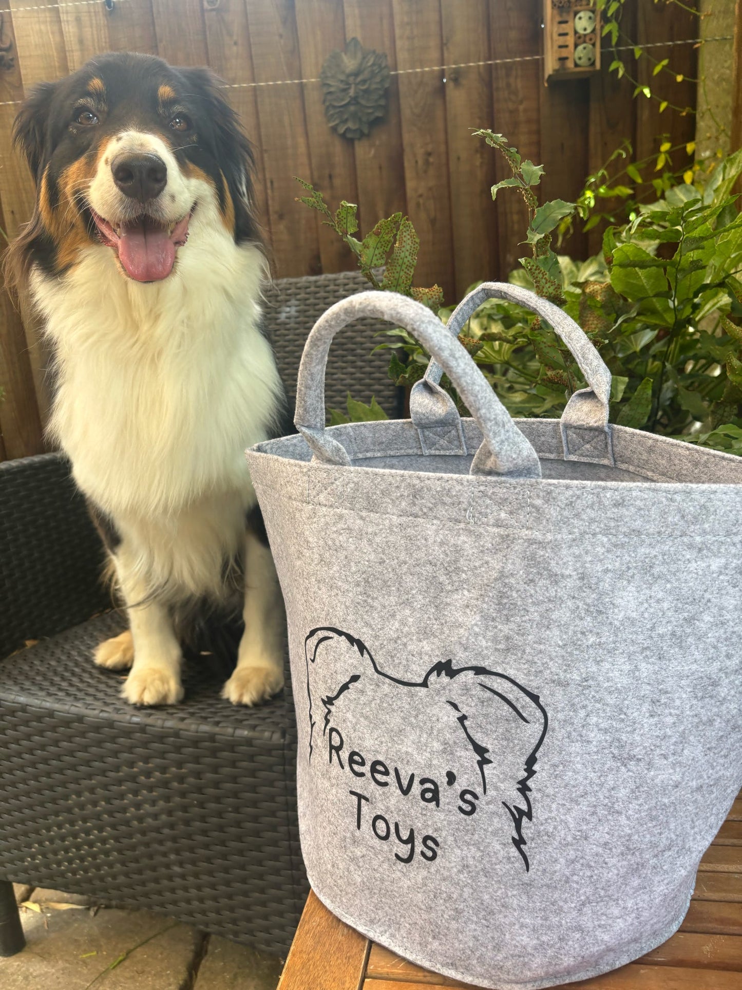 Dog sitting next to a gray bag labeled 'Reeva's Toys' outdoors.