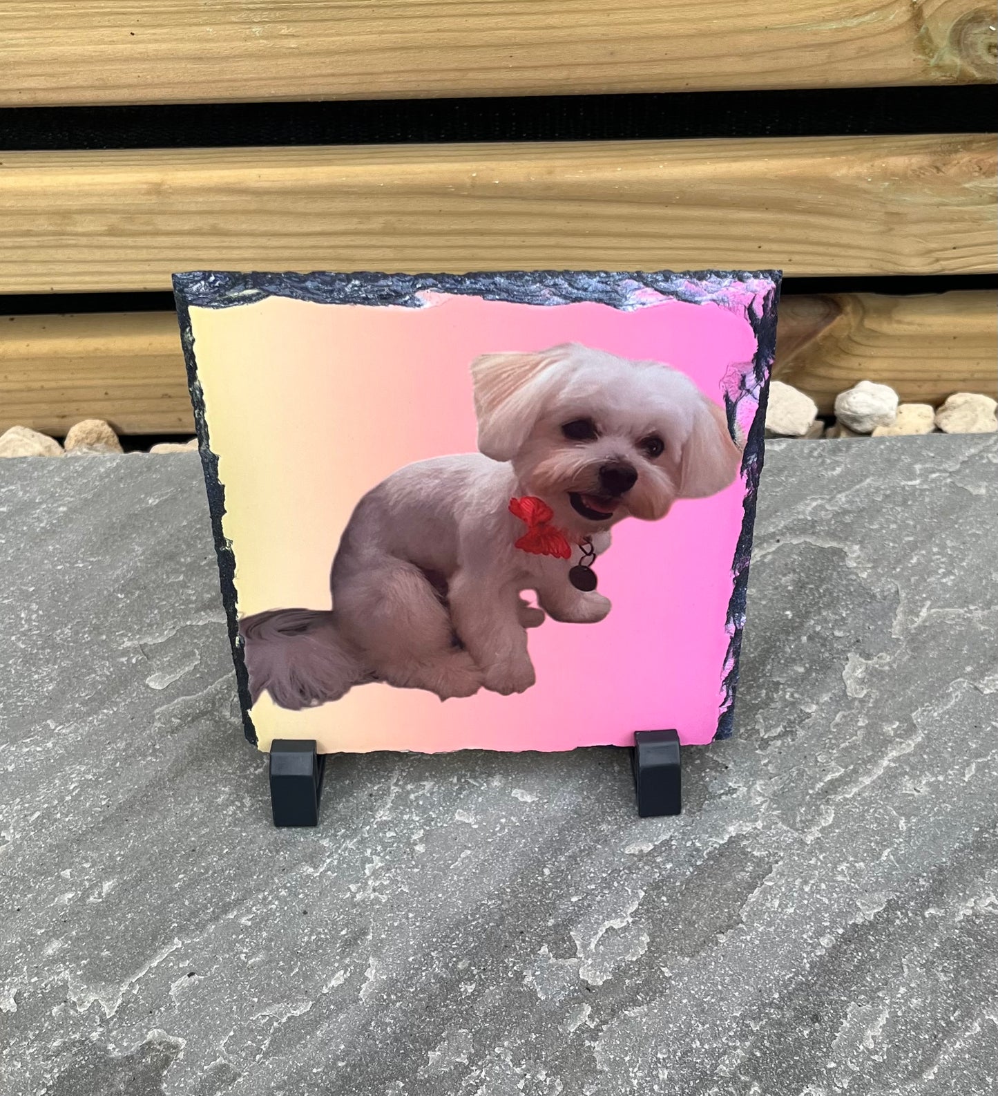 Personalised Slates - Pawsitively Purrfect