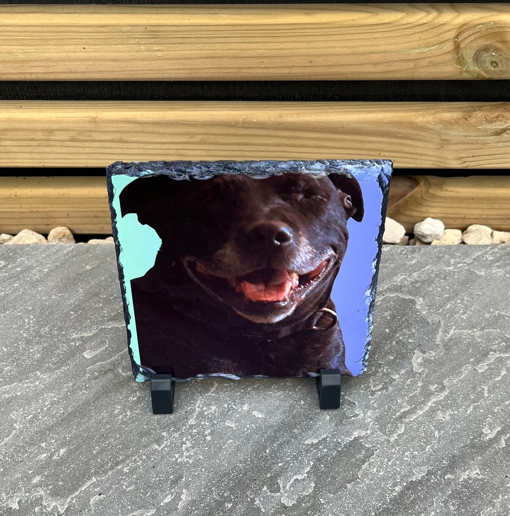 Personalised Slates - Pawsitively Purrfect