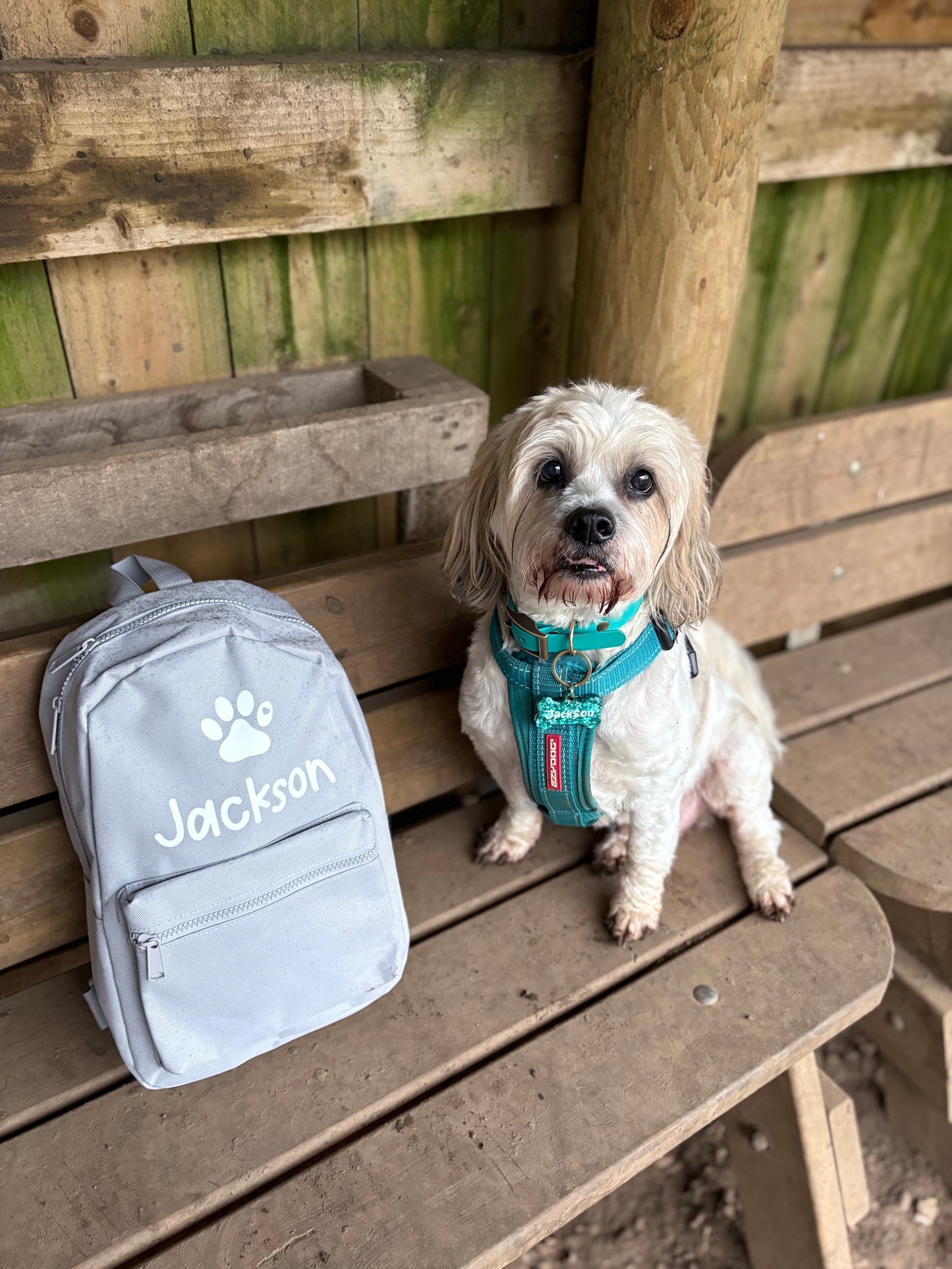 Personalised Pet Mini Backpacks