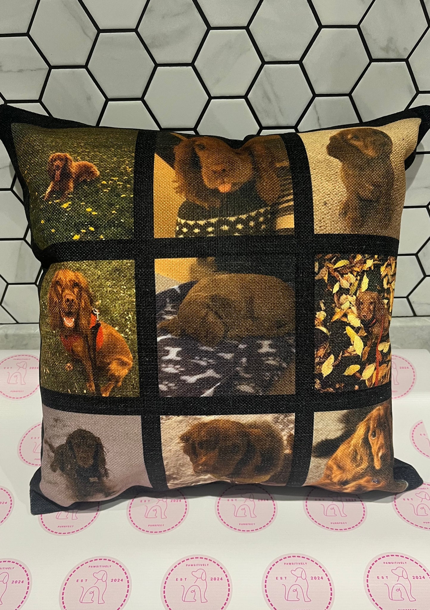 Personalised Cushions - Pawsitively Purrfect