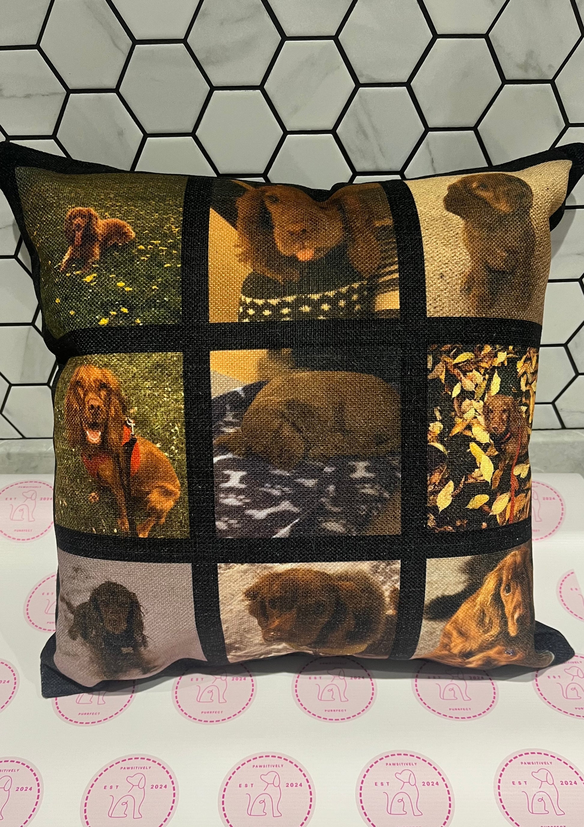 Personalised Cushions - Pawsitively Purrfect