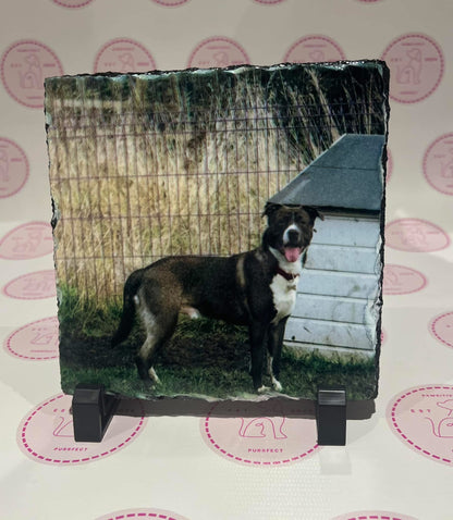 Dog standing on a grassy area with a wooden bench in the background, displayed on a decorative stand.