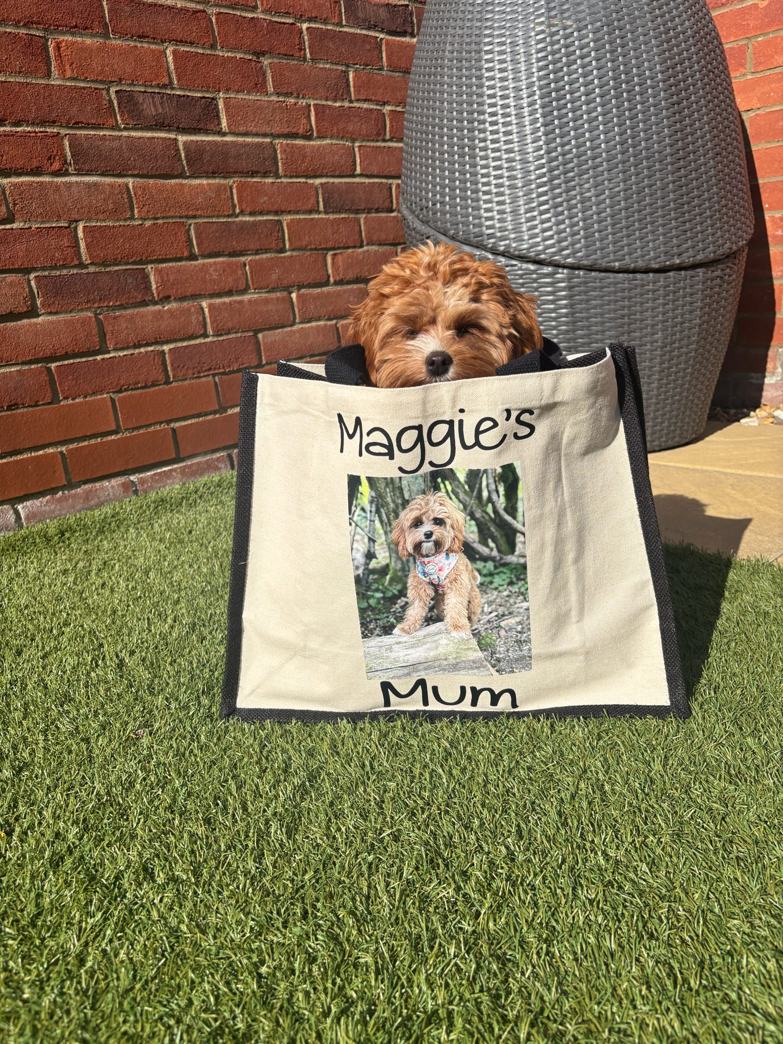 Dog peeking out from a bag with 'Maggie's Mum' text and a photo of a dog on a grassy area with a brick wall in the background.