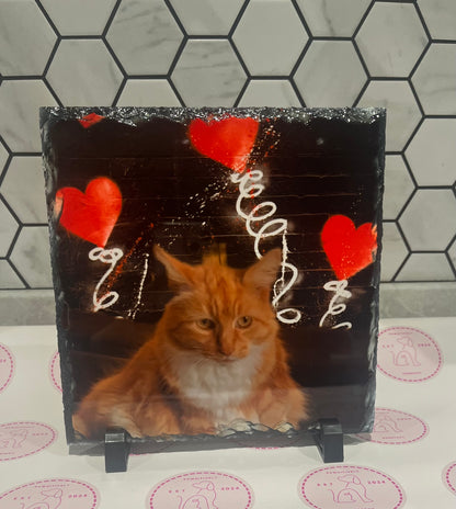 Personalised Slates - Pawsitively Purrfect