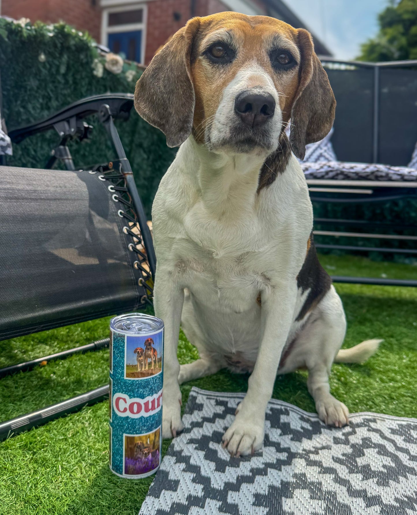 Dog sitting on a rug with a personalised tumbler in front of it.