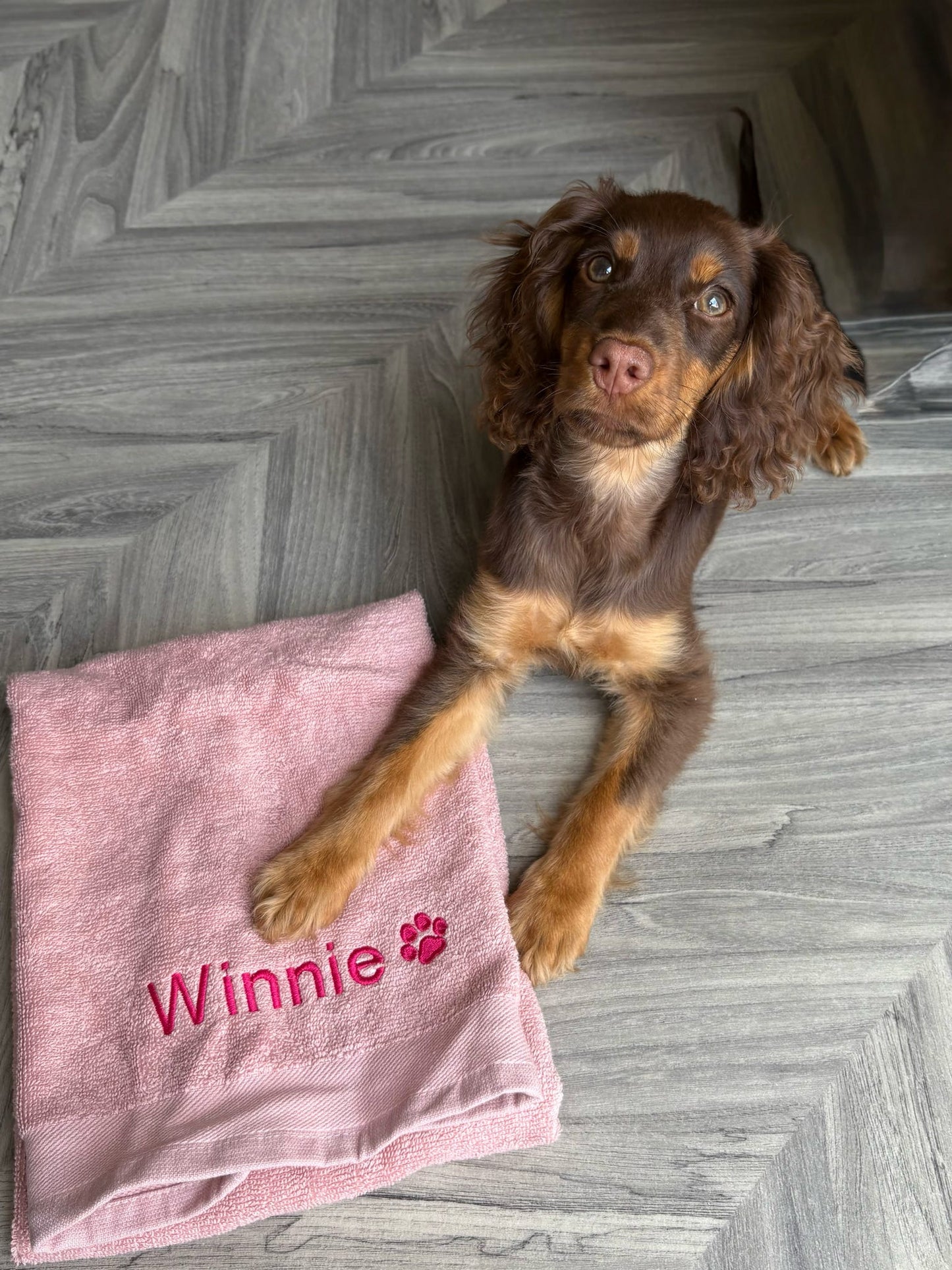 Dog lying on a pink towel with 'Winnie' embroidered on it, on a wooden floor.