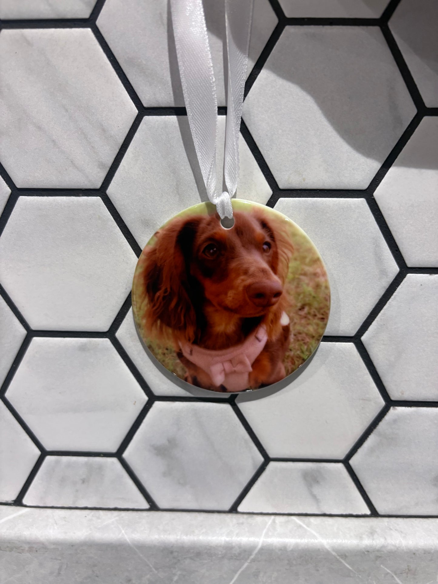 Personalised Christmas Pet Bauble Ornament