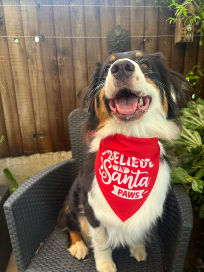 Dog wearing a red bandana with 'Believe in Santa Paws' text, sitting outdoors.