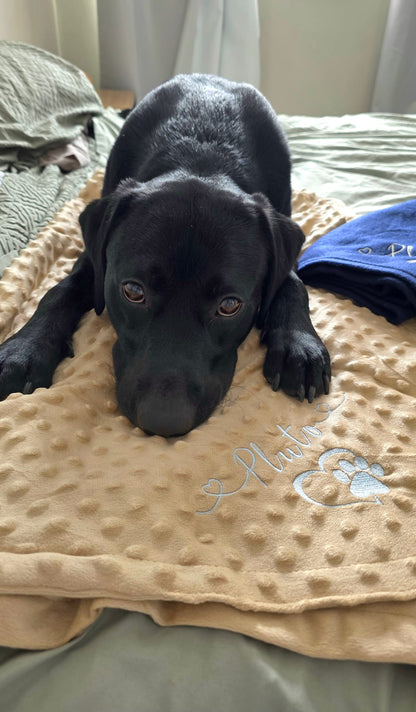 Black puppy lying on a beige blanket with text