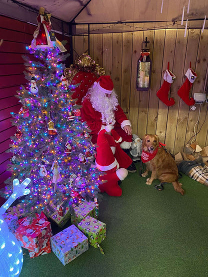 Christmas Pet Bandana - One Size - Choose Design