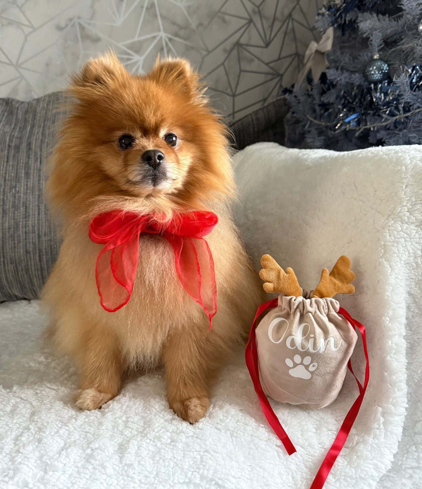 Personalised Christmas Reindeer Drawstring Bag | Perfect For Pets, Kids, Businesses