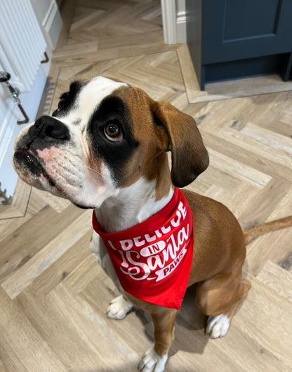Christmas Pet Bandana - One Size - Choose Design