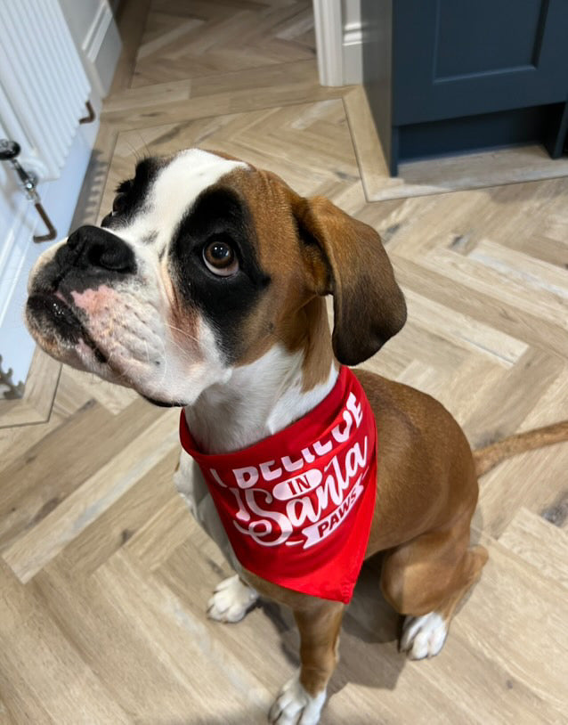 Christmas Pet Bandana | One Size | Choose Design