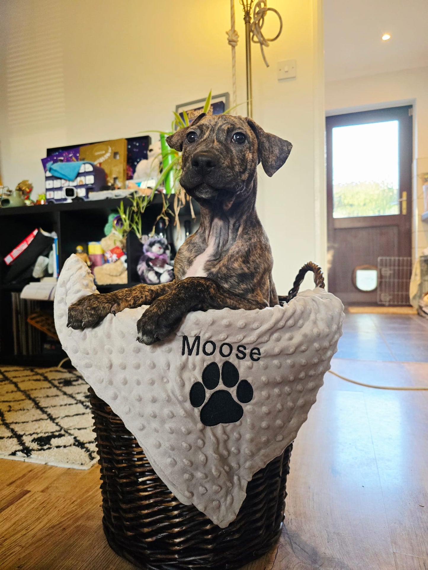 Embroidered Personalised Pet Blankets