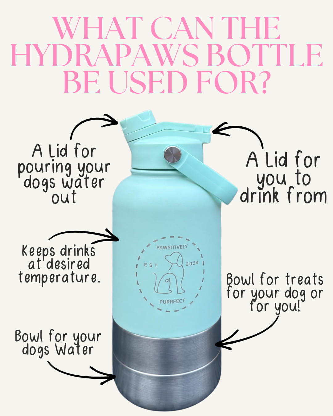 HydraPaws Bottle | One Bottle. Endless Adventures