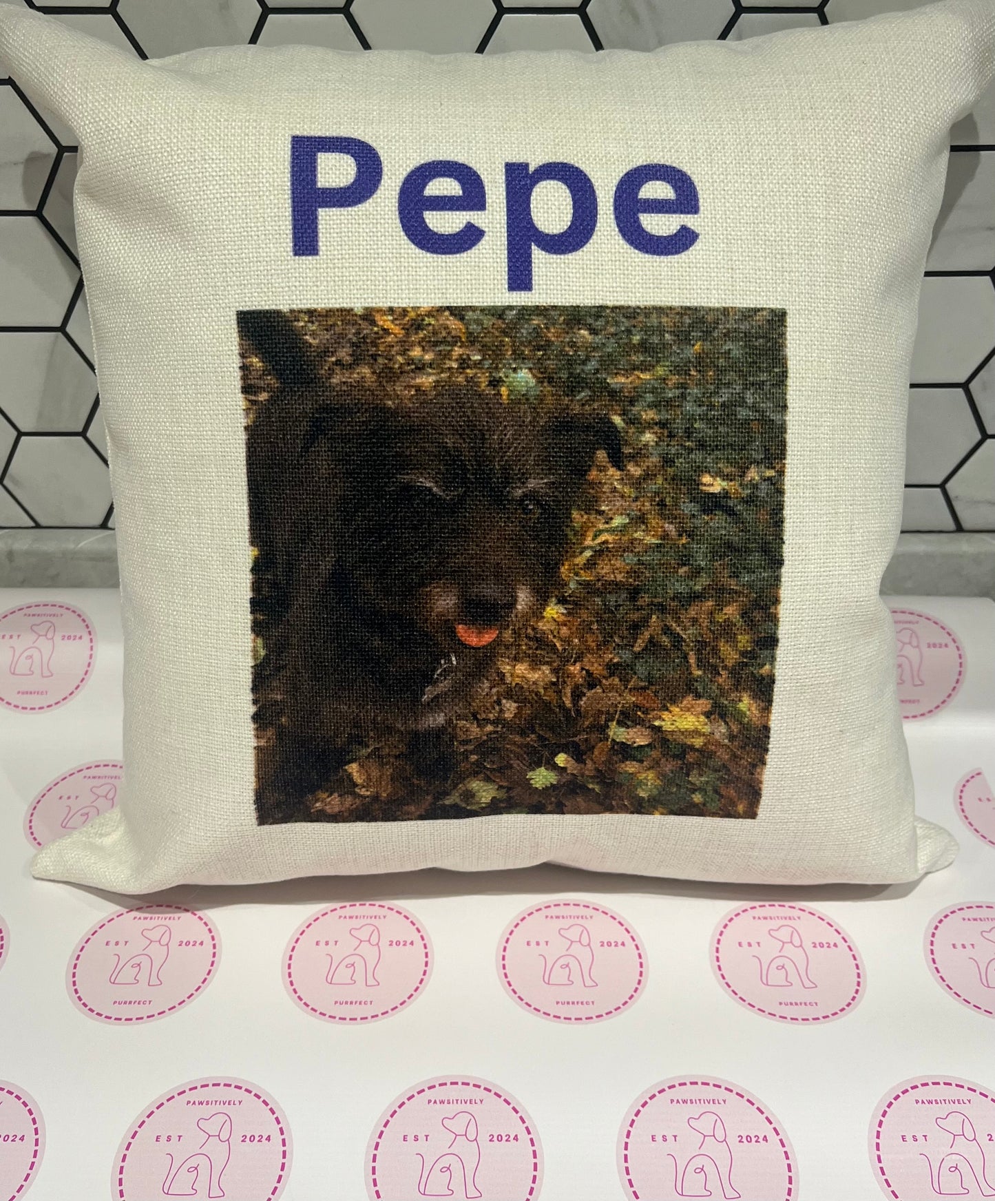 Personalised Cushions - Pawsitively Purrfect
