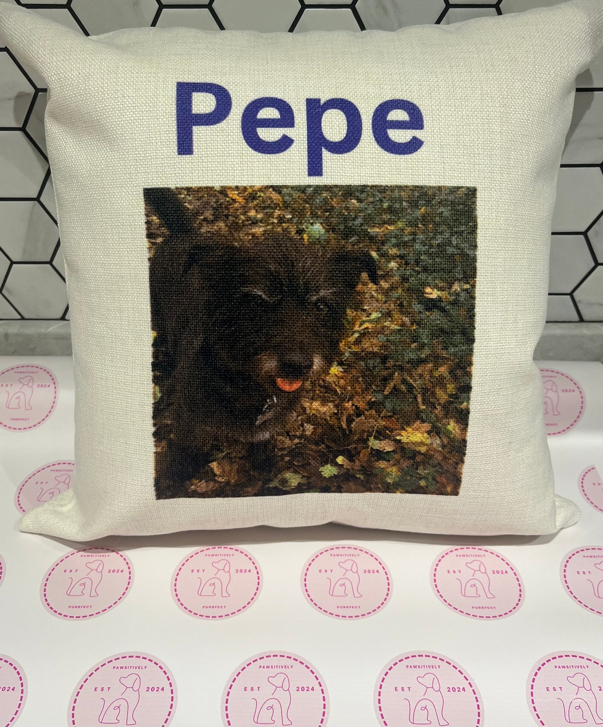 Personalised Cushions - Pawsitively Purrfect
