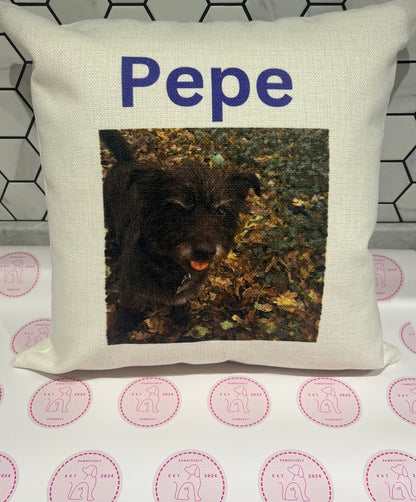 Personalised Cushions - Pawsitively Purrfect