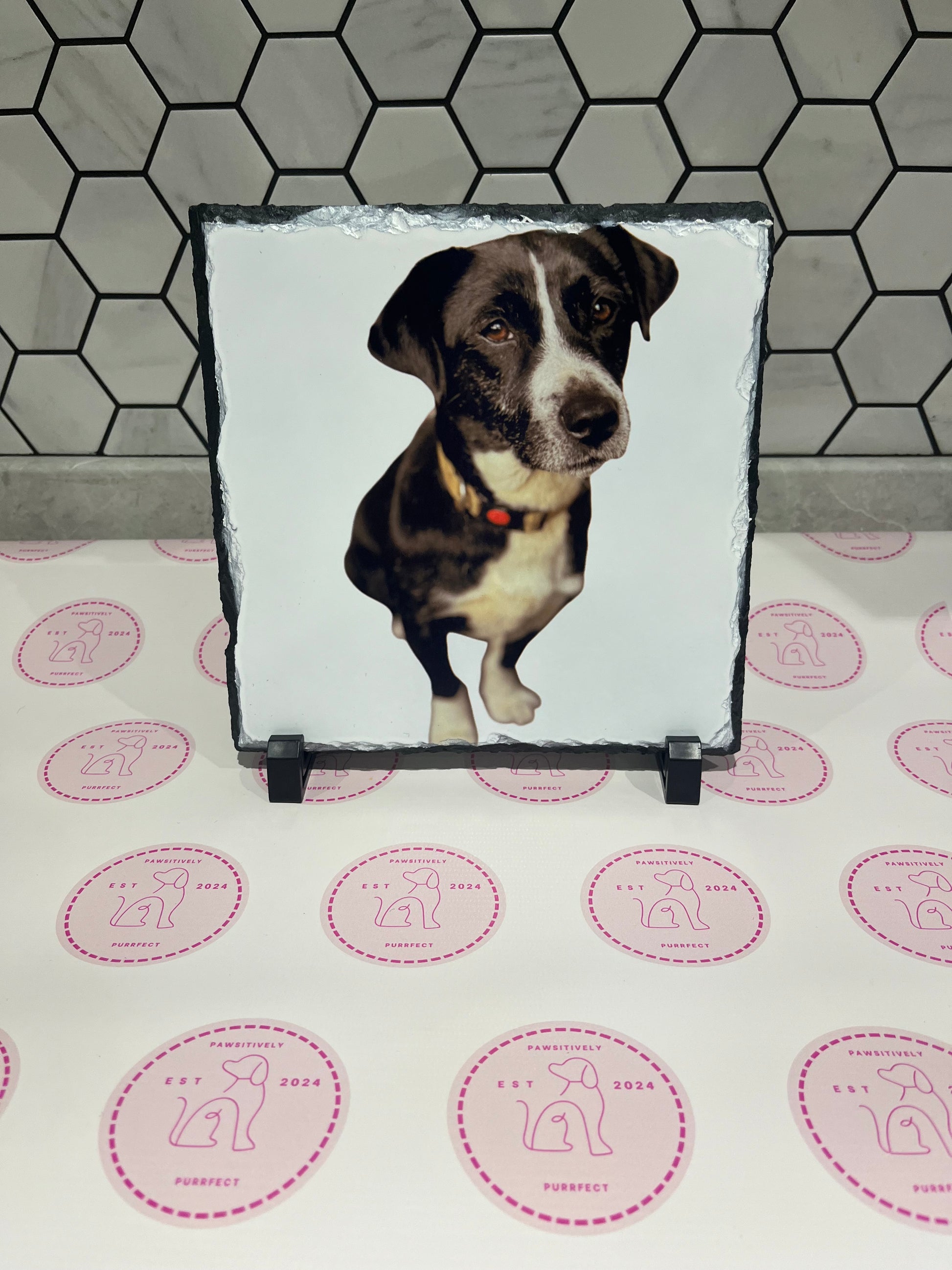 Personalised Slates - Pawsitively Purrfect