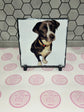 Personalised Slates - Pawsitively Purrfect