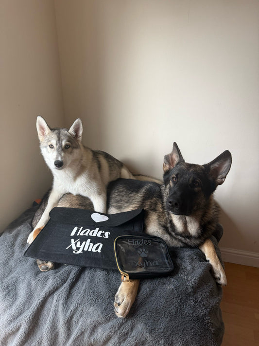 Personalised Pet Themed Document Wallet
