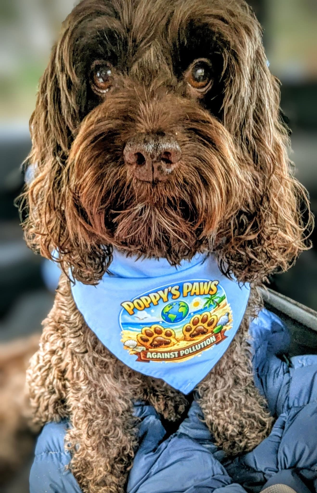 Business/Personal Custom Pet  Bandana | Own Logo/Design