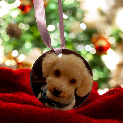 Personalised Christmas Pet Bauble Ornament