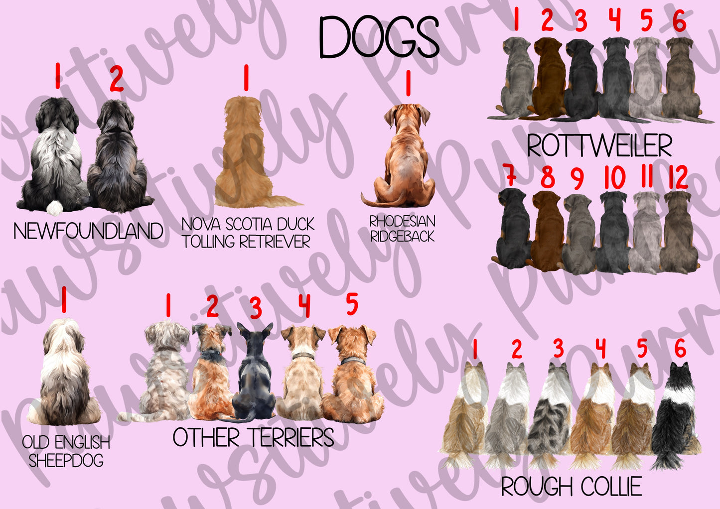 Custom Family Design | Personalised Pet Gifts For Humans