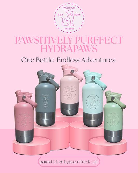 HydraPaws Bottle | One Bottle. Endless Adventures