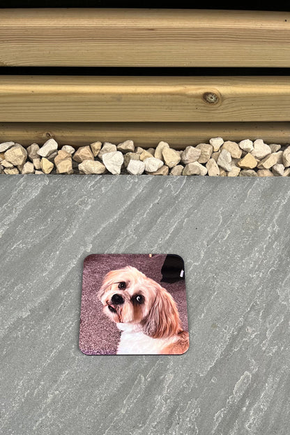 Square coaster with a dog's face on a concrete surface with wooden and stone background