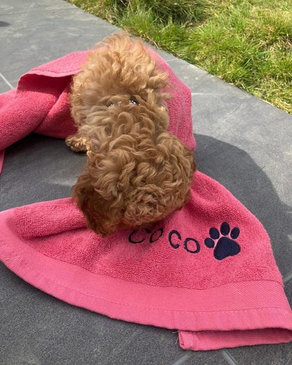 Small brown dog on a pink towel with 'Coco' and a paw print on a stone surface.