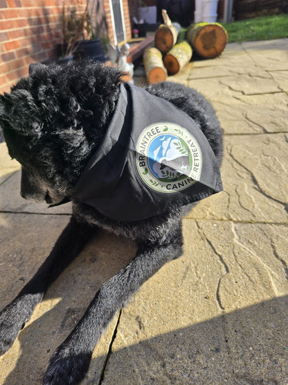 Business/Personal Custom Pet  Bandana | Own Logo/Design