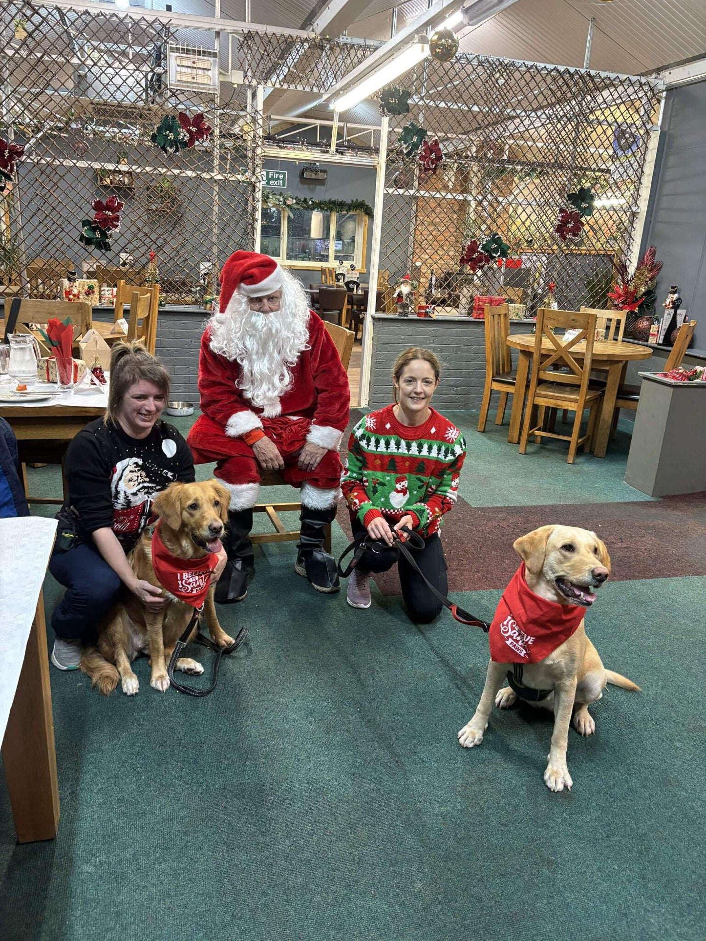 Christmas Pet Bandana - One Size - Choose Design