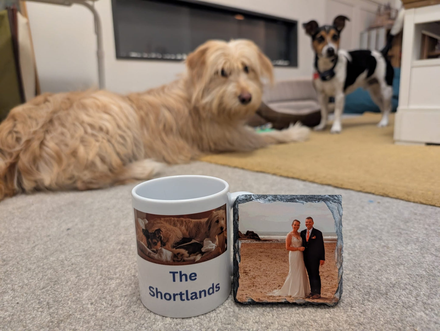 Pet Design Mug 11oz & Coaster | Pet Gifts For Humans | PERSONALISED