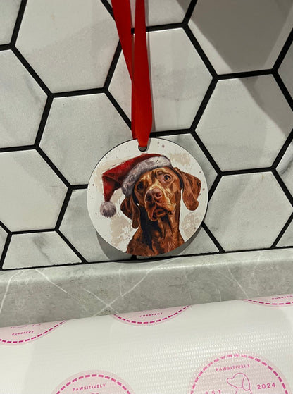 Christmas Pet Bauble Ornament - Pawsitively Purrfect