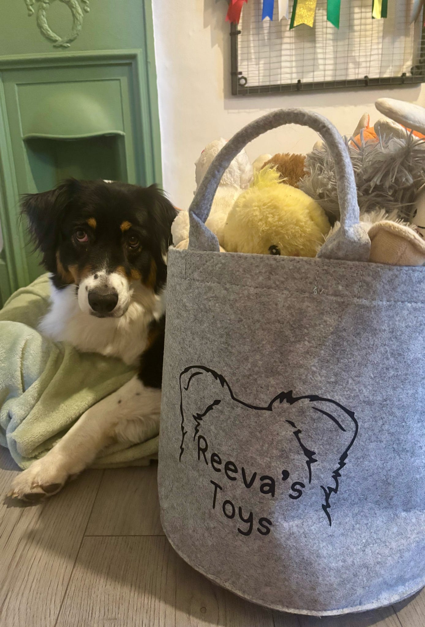 Dog laid next to grey toy bag saying Reevas Toys